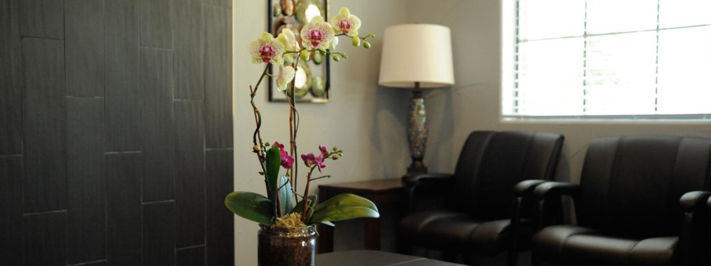 A beautiful office plant sits atop a table in the waiting room for dental patients.